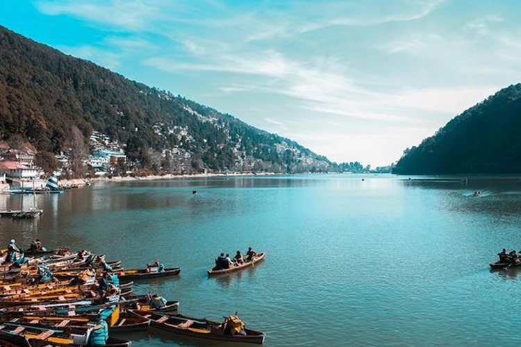 nanital